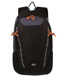 Ridgetrek 20L Backpack